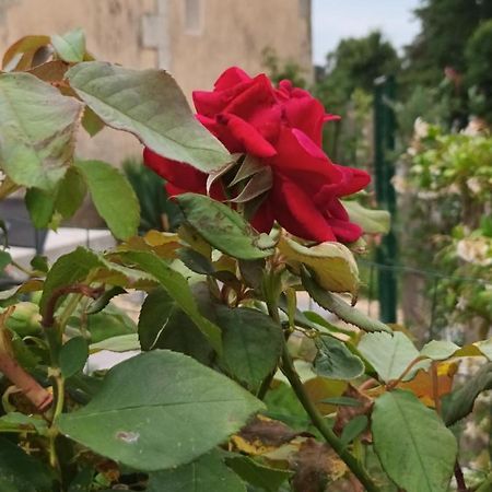 Gite Aux Vieux Bois Lunas  Exteriör bild