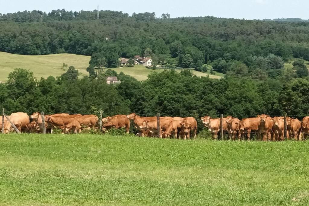 Gite Aux Vieux Bois Lunas  Exteriör bild