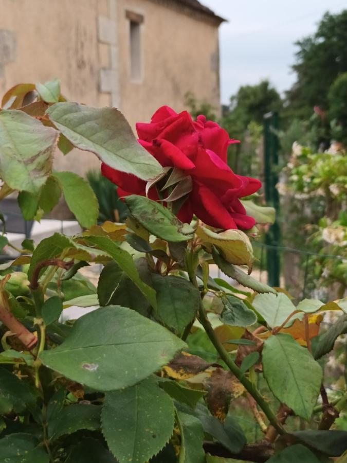 Gite Aux Vieux Bois Lunas  Exteriör bild