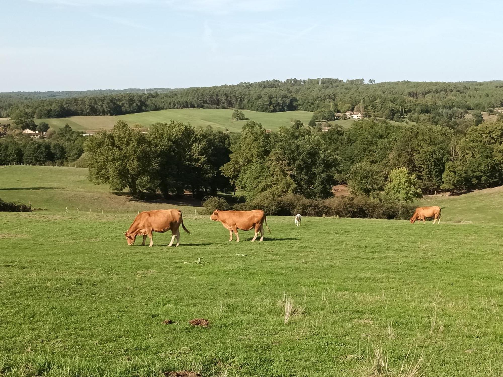 Gite Aux Vieux Bois Lunas  Exteriör bild